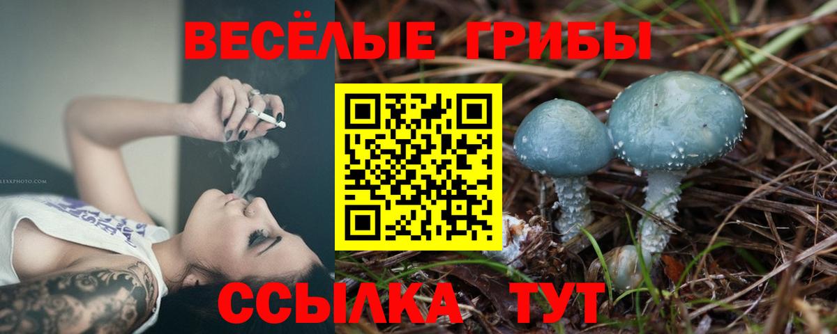 Галлюциногенные грибы мухоморы Сорочинск
