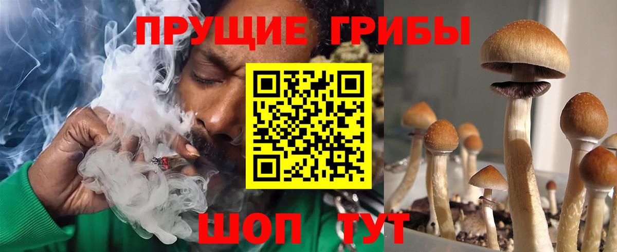 Псилоцибиновые грибы мицелий  Вход с VPN  Галлюциногенные грибы Psilocybe  Сорочинск 